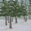 Cozy Winter Pines